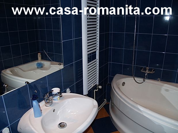 Poze din curte.Casa Romanita I Aici puteti vedea curtea cazare Casa-Romanita I din Romania.