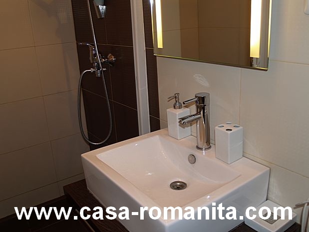 Poze din curte.Casa Romanita I Aici puteti vedea curtea cazare Casa-Romanita I din Romania.