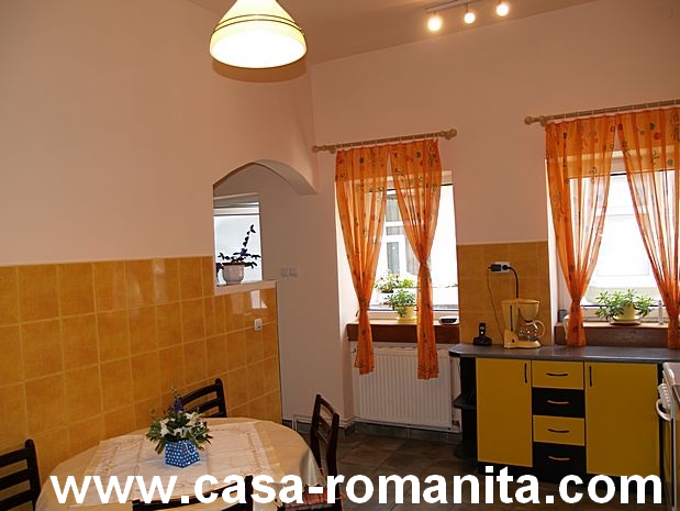 Aici puteti vedea curtea cazare Casa-Romanita I din Romania.