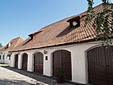 castle Brasov in Romania