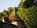 castle Brasov in Romania