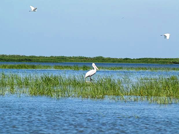 Donau Delta