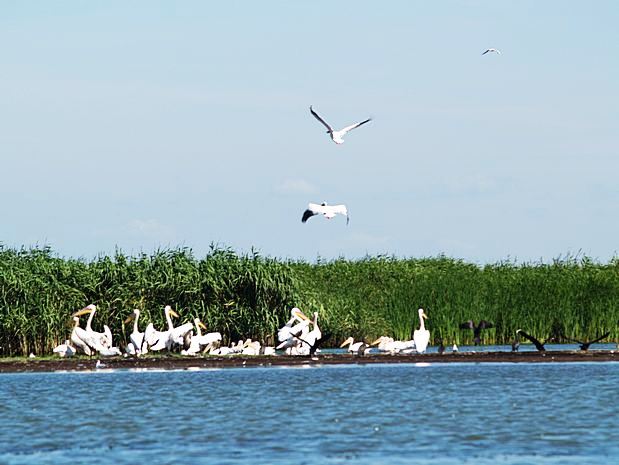 Donau Delta