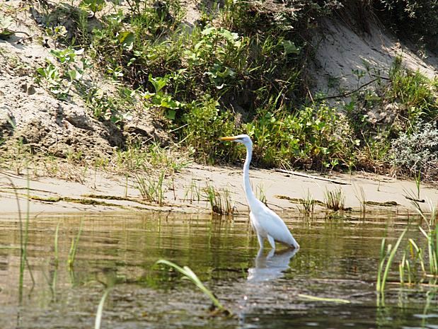 Donau Delta