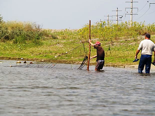 Donau Delta