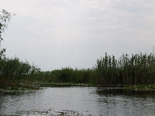 Donau Delta