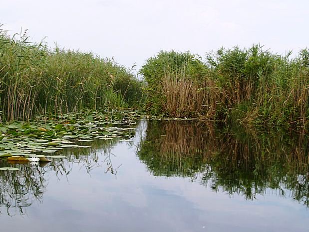 Donau Delta