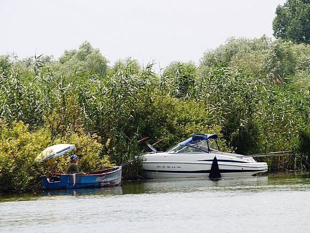 Donau Delta