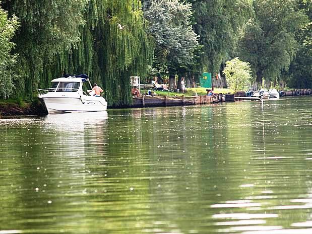 Donau Delta