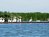 Schwarzes Meer