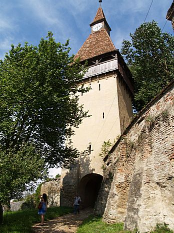 Fortified Church