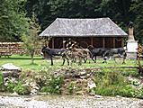 Nationalpark Piatra Craiului