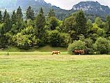 Nationalpark Piatra Craiului