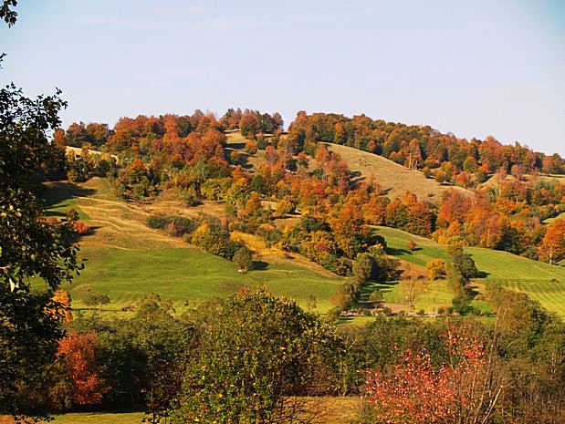 Brasov area