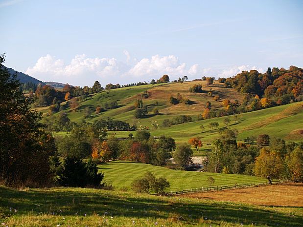 Brasov area