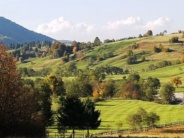 Brasov area