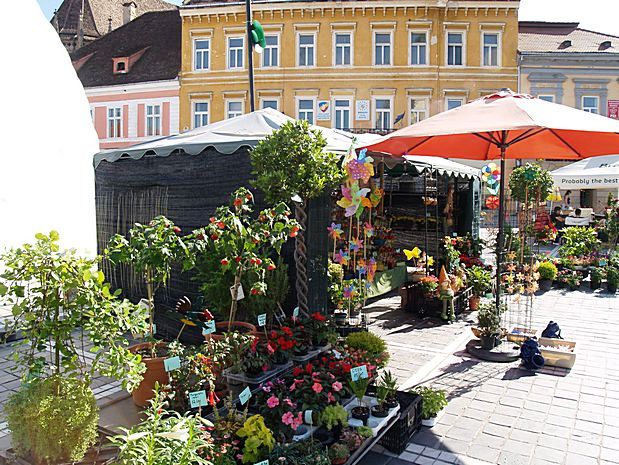 Brasov in Summer