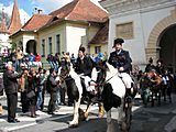 Junii Brasovului in Brasov