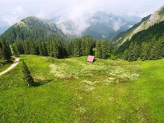 Natur in Rumänien und den Karpaten